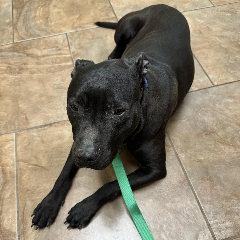 Guinness thumbnail 4