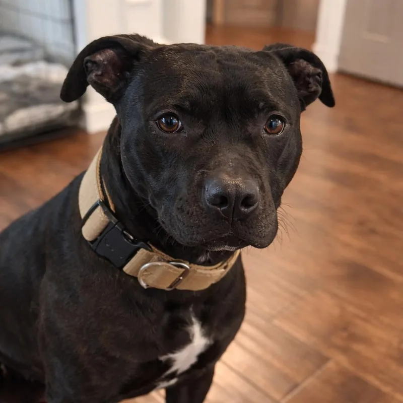 Guinness thumbnail 5