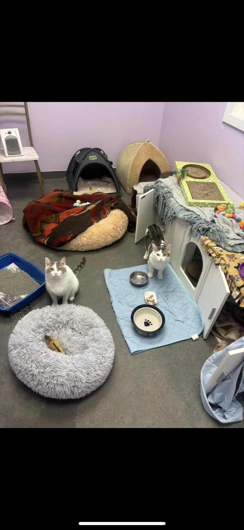 Meek Mill And Crayon thumbnail 2