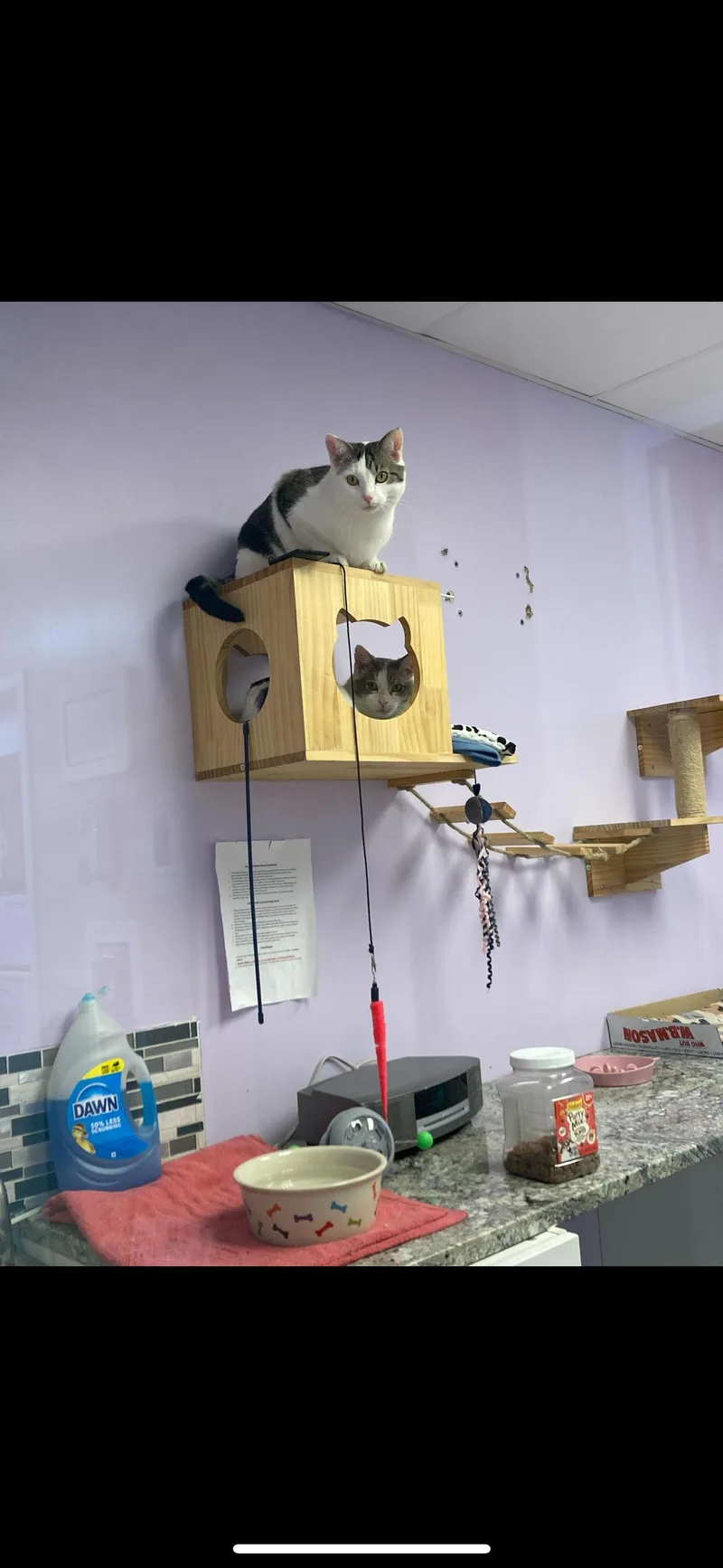 Meek Mill And Crayon thumbnail 3