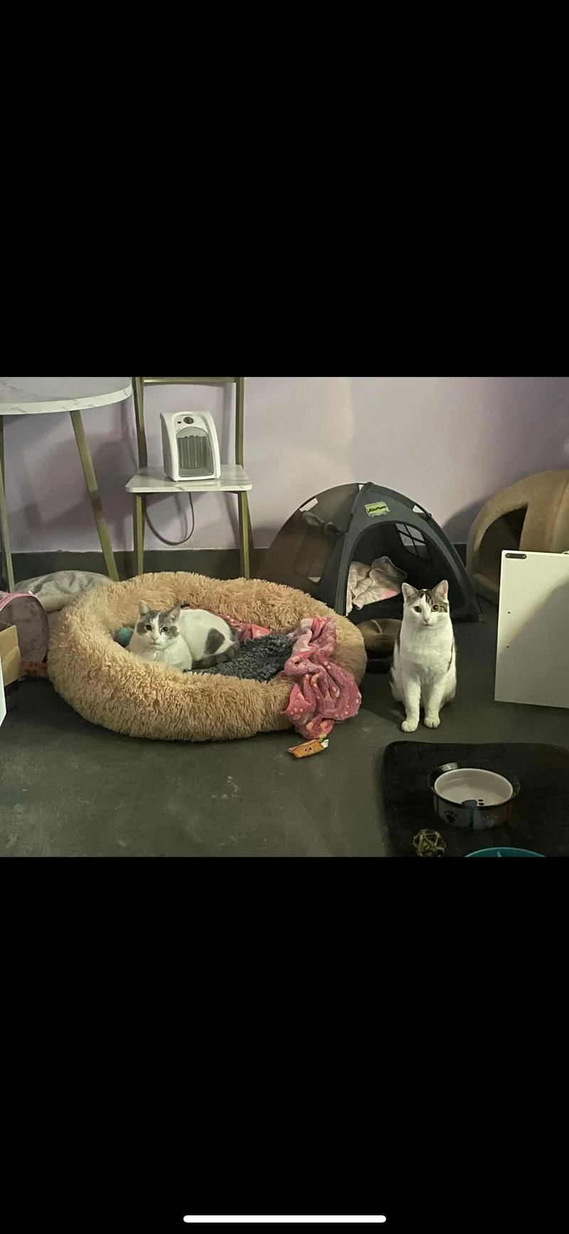 Meek Mill And Crayon