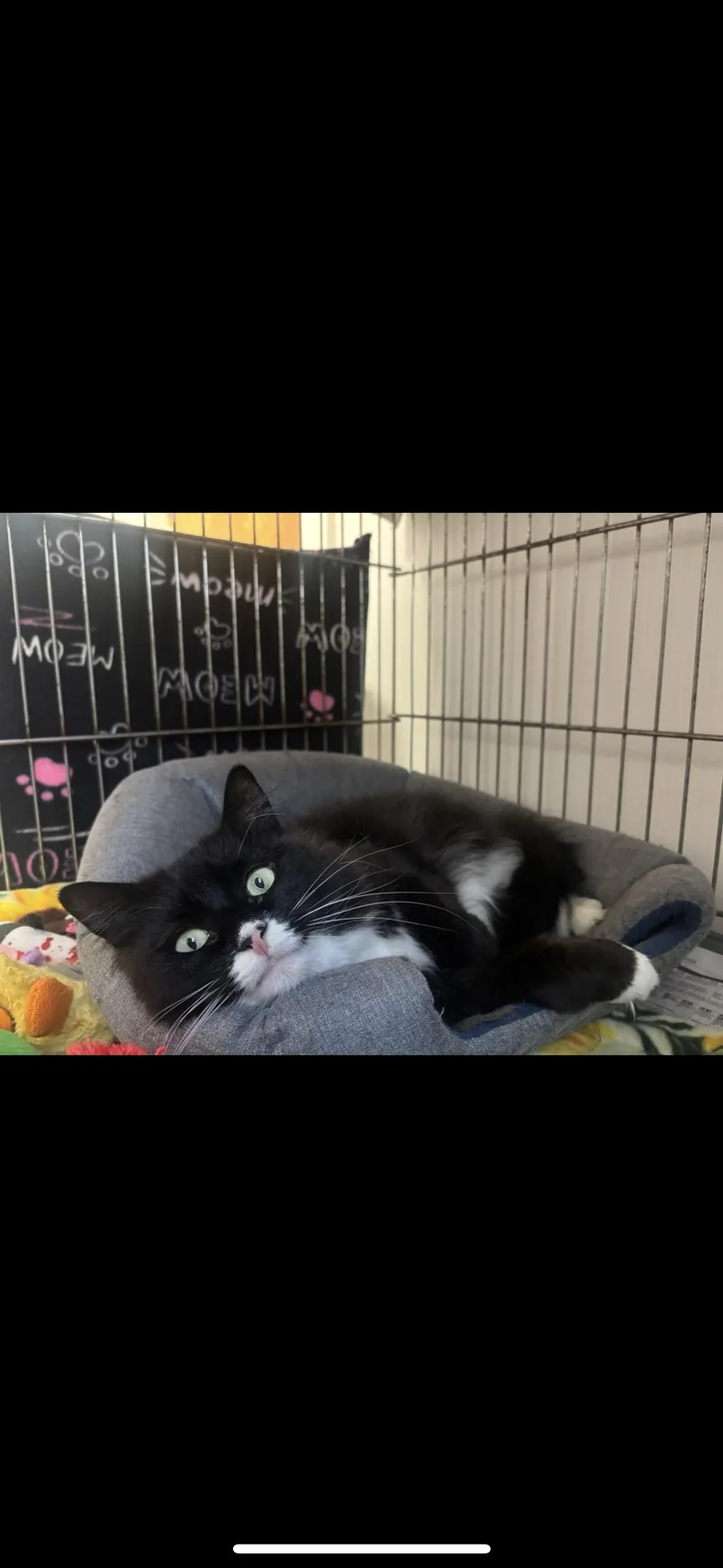 Kaiya Miss Independent thumbnail 3