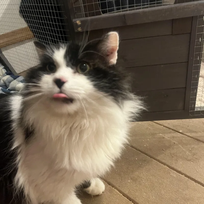 Monty  See My thumbnail 2