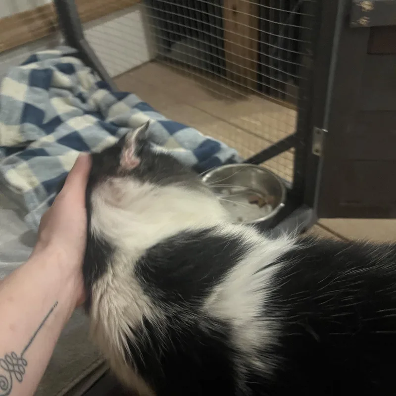 Monty  See My thumbnail 4