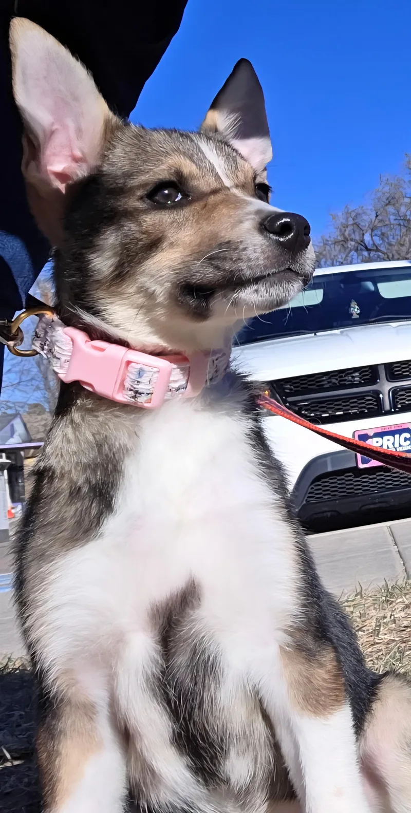 Lil Miss thumbnail 2