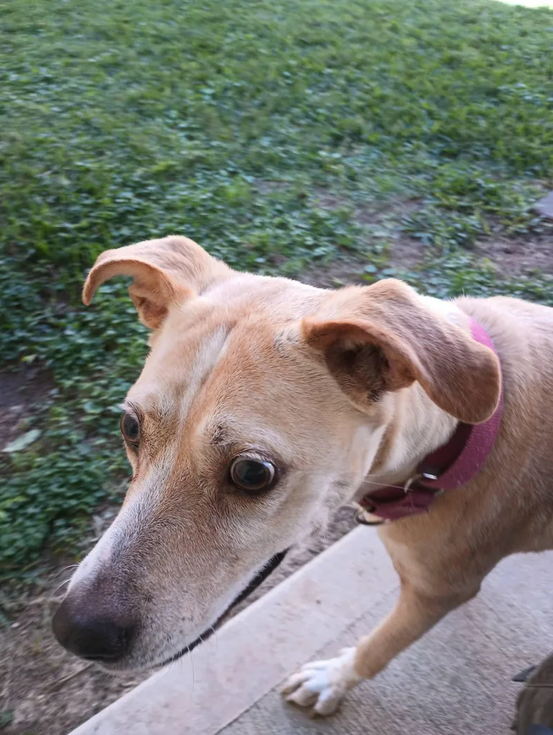 Blind Faith thumbnail 3