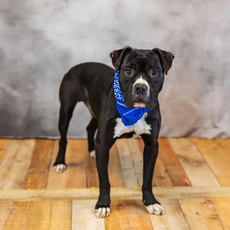 Malarkey thumbnail 2