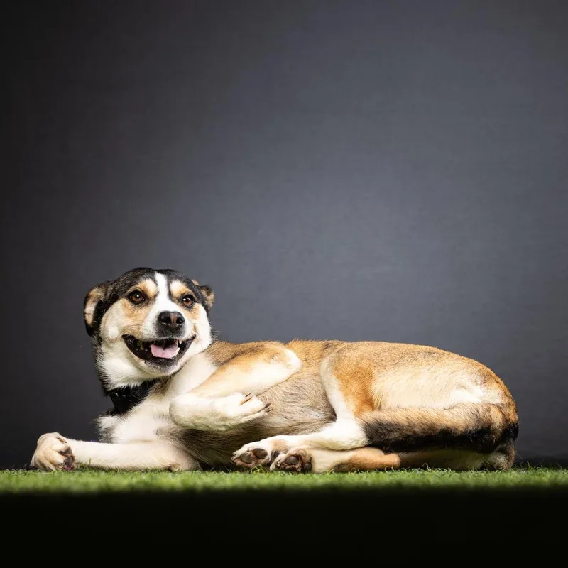 Manchester thumbnail 2