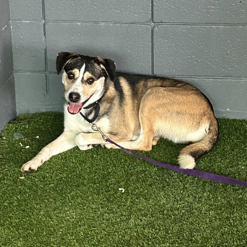 Manchester thumbnail 3