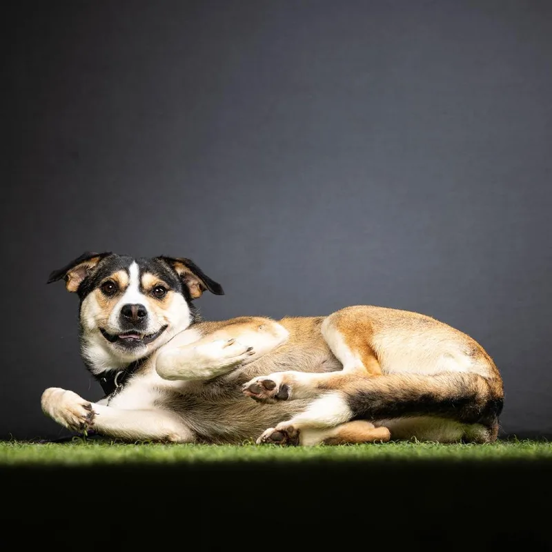 Manchester thumbnail 4