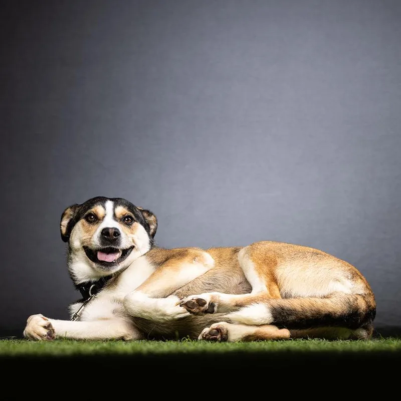 Manchester thumbnail 5