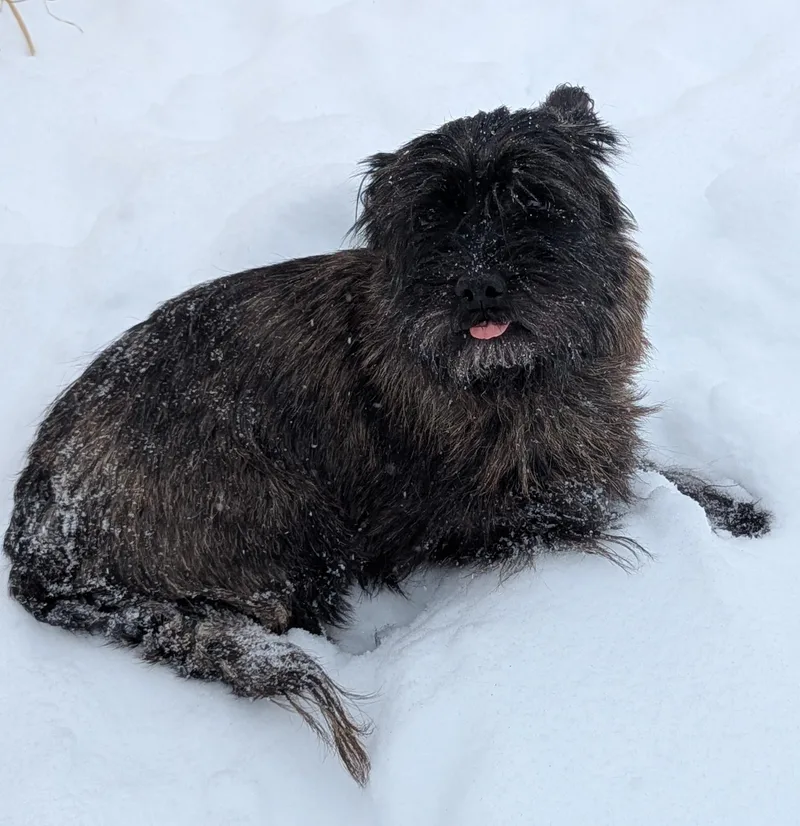 Lily Aldrin thumbnail 2