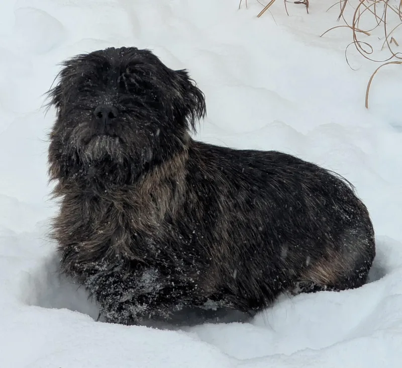 Lily Aldrin thumbnail 3