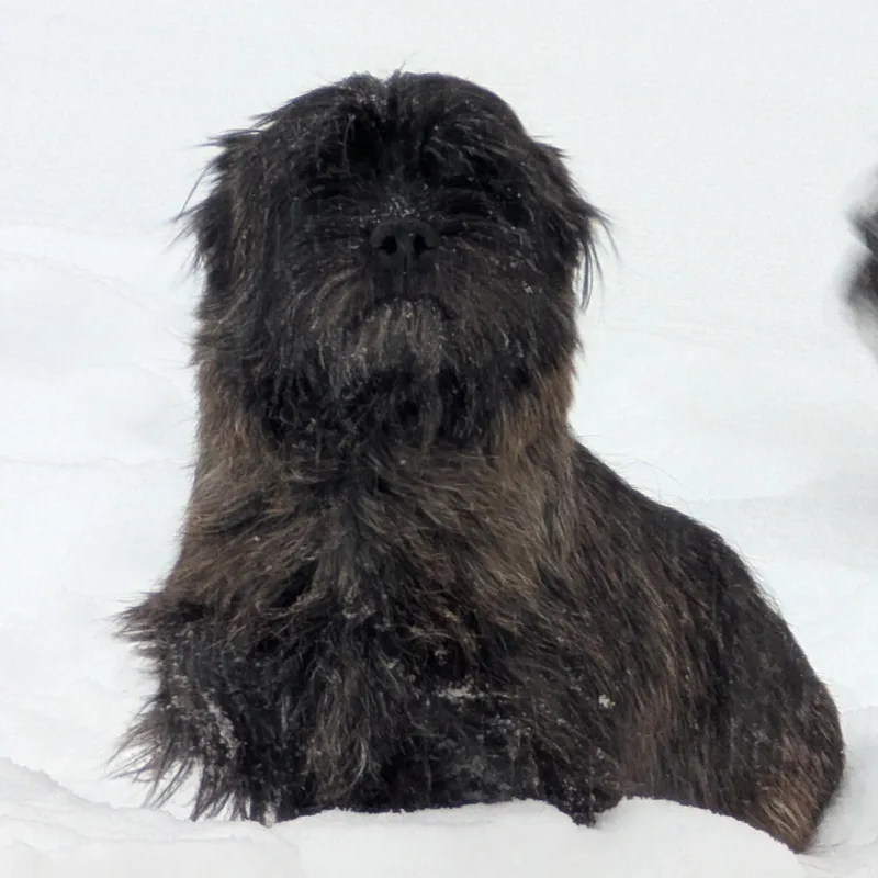 Lily Aldrin thumbnail 4