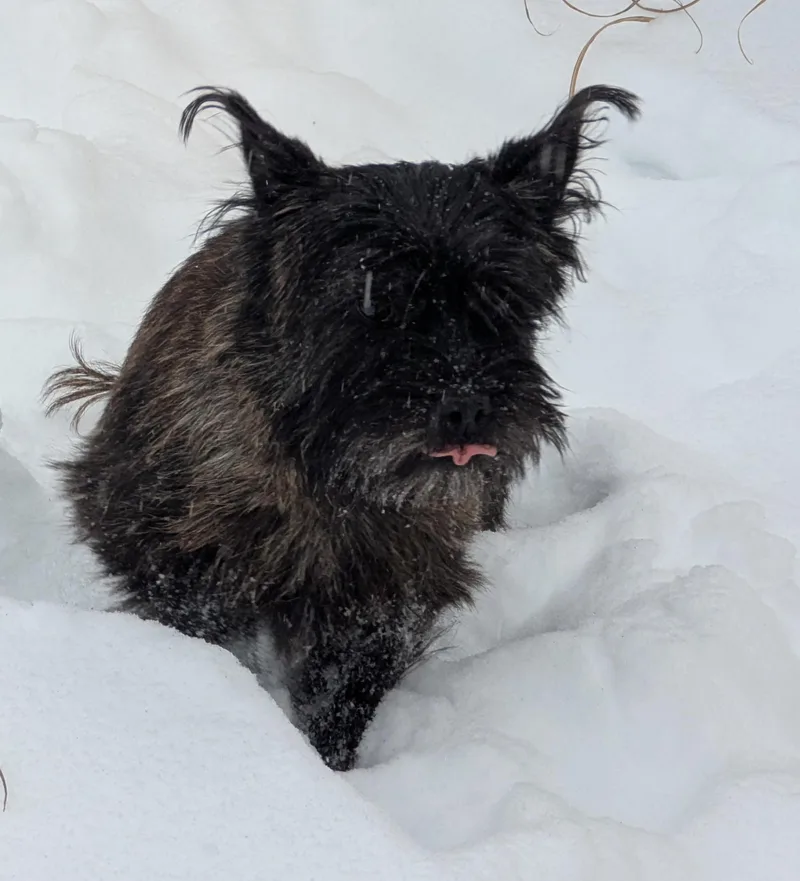 Lily Aldrin thumbnail 5