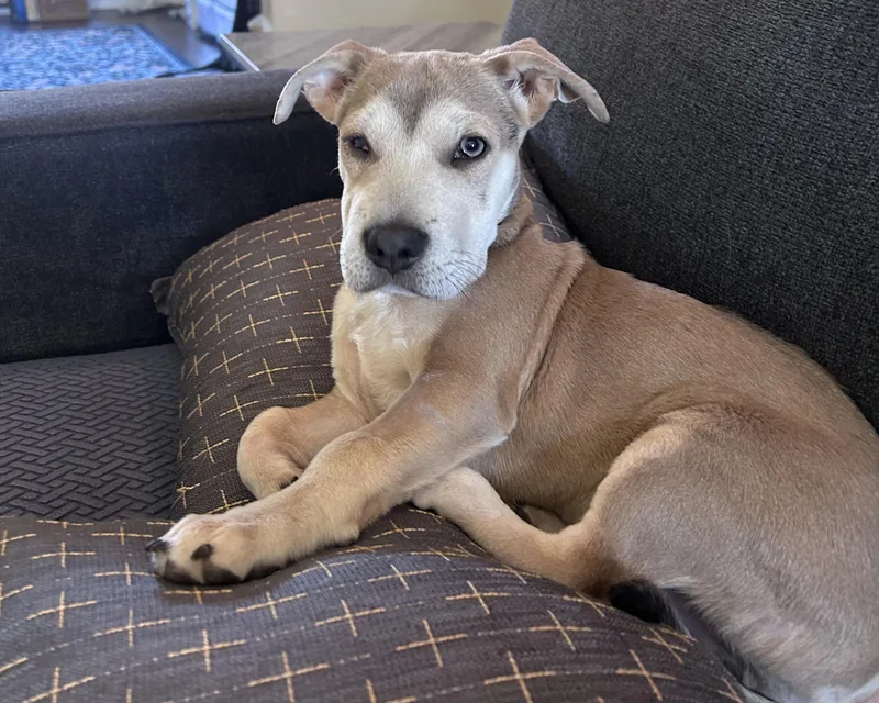 Sebastian thumbnail 3