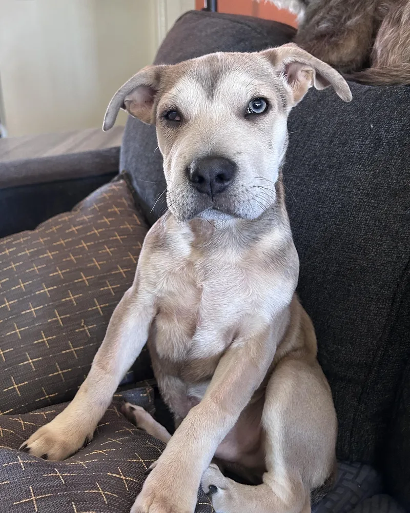 Sebastian thumbnail 4