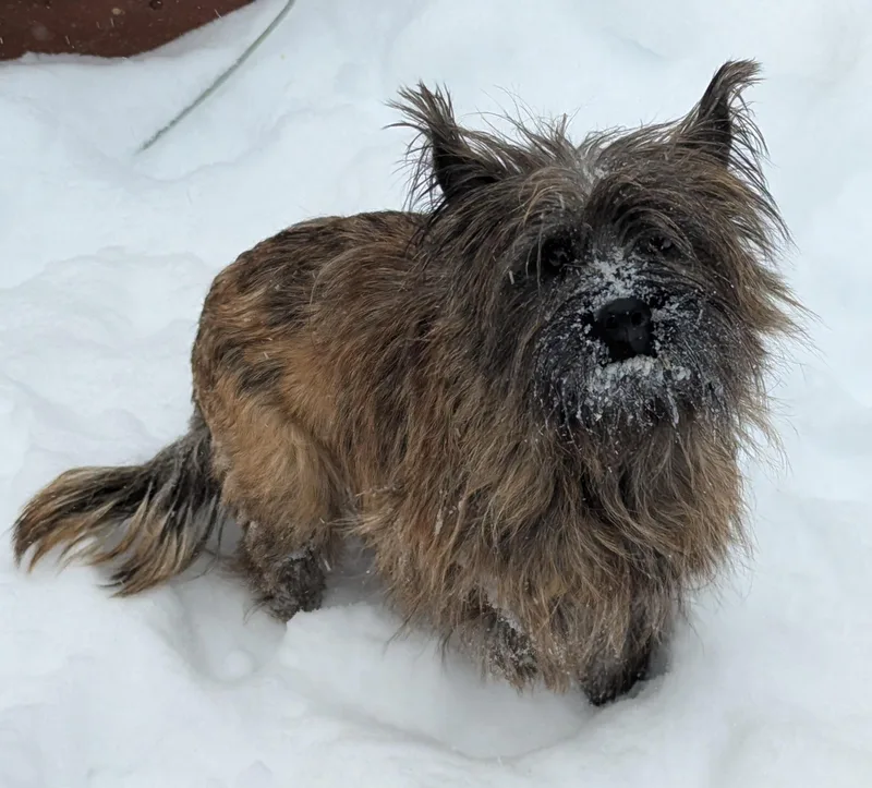 Ted Mosby thumbnail 2