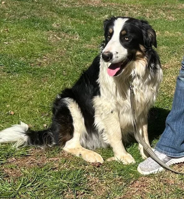 Tombstone Talent thumbnail 4