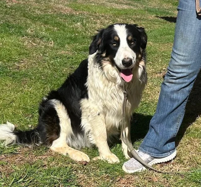 Tombstone Talent thumbnail 5