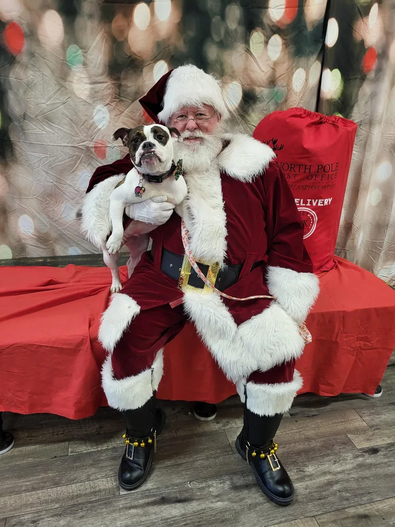 Tully  Local Gal thumbnail 4