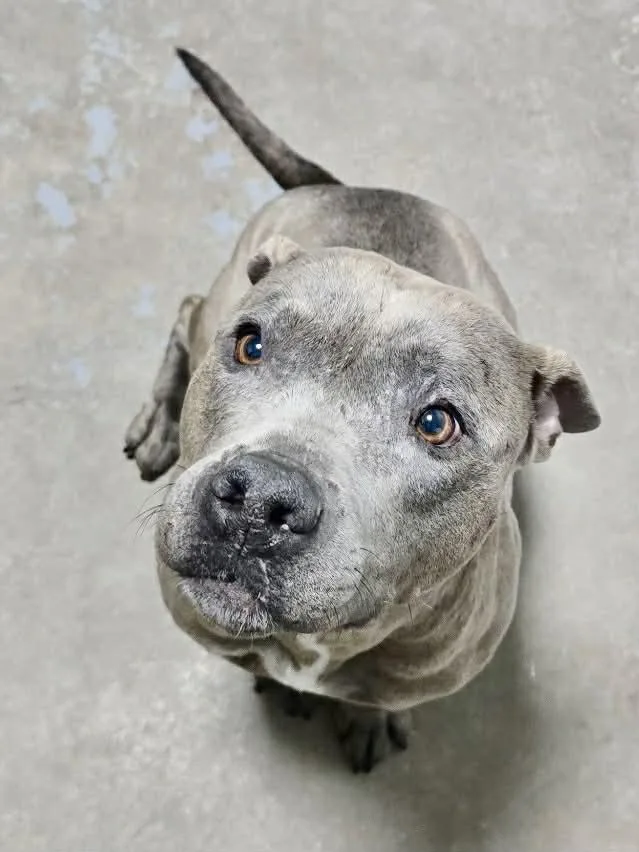 Ellie Mae thumbnail 2