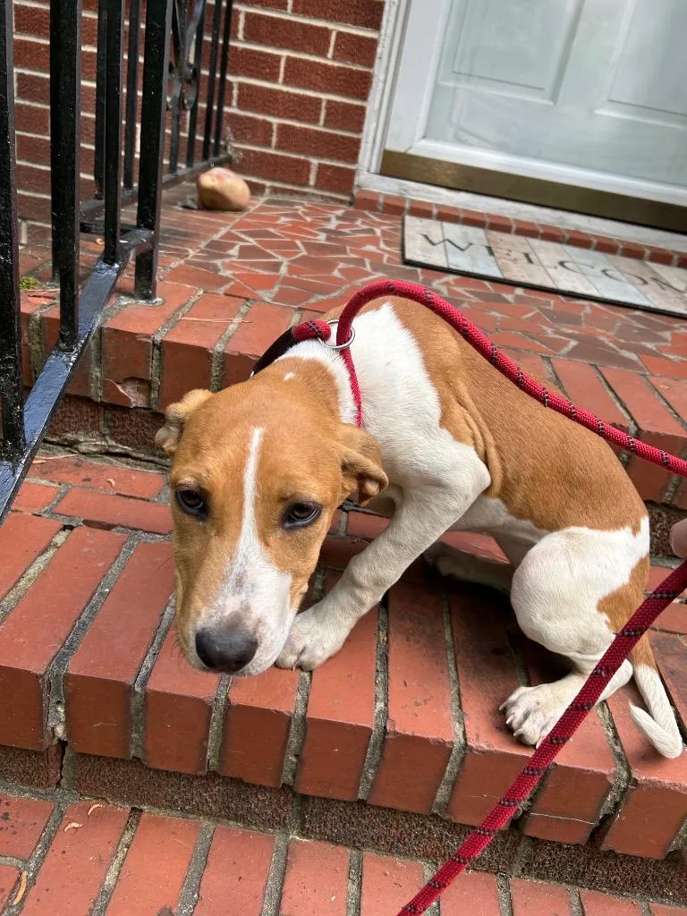 Rury "keyarea thumbnail 2