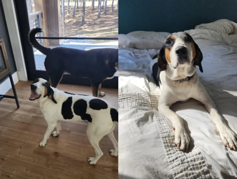 Madeline thumbnail 2