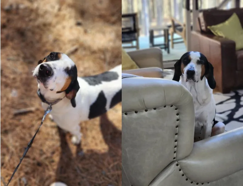 Madeline thumbnail 3