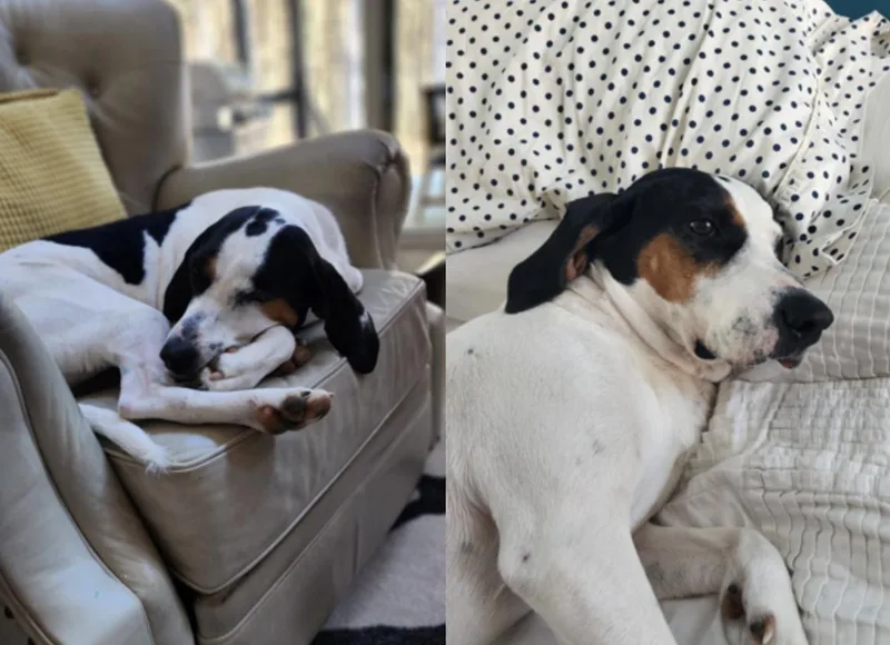 Madeline thumbnail 4