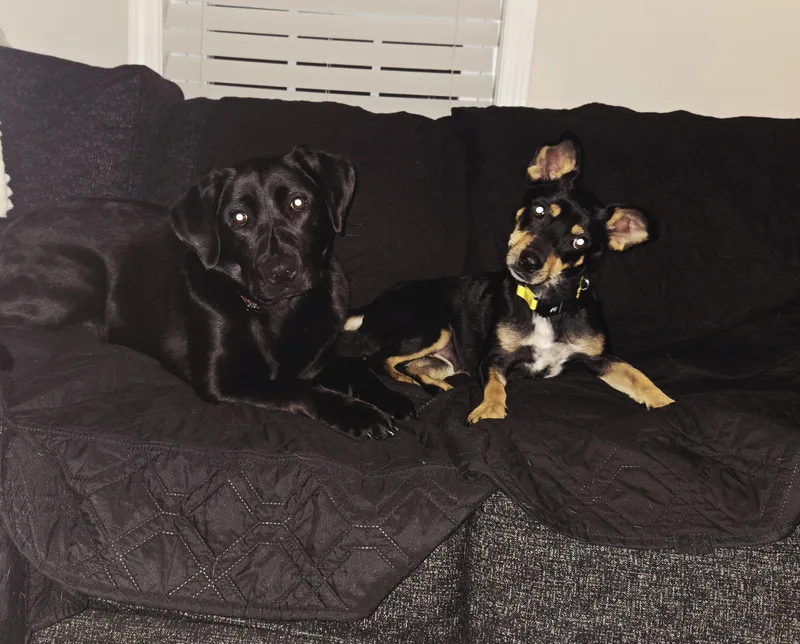 Momma Shyla Shortcake  thumbnail 4