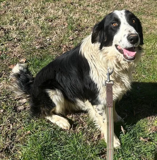 Ivar Talent thumbnail 2