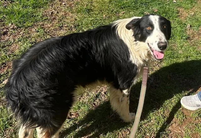 Ivar Talent thumbnail 3