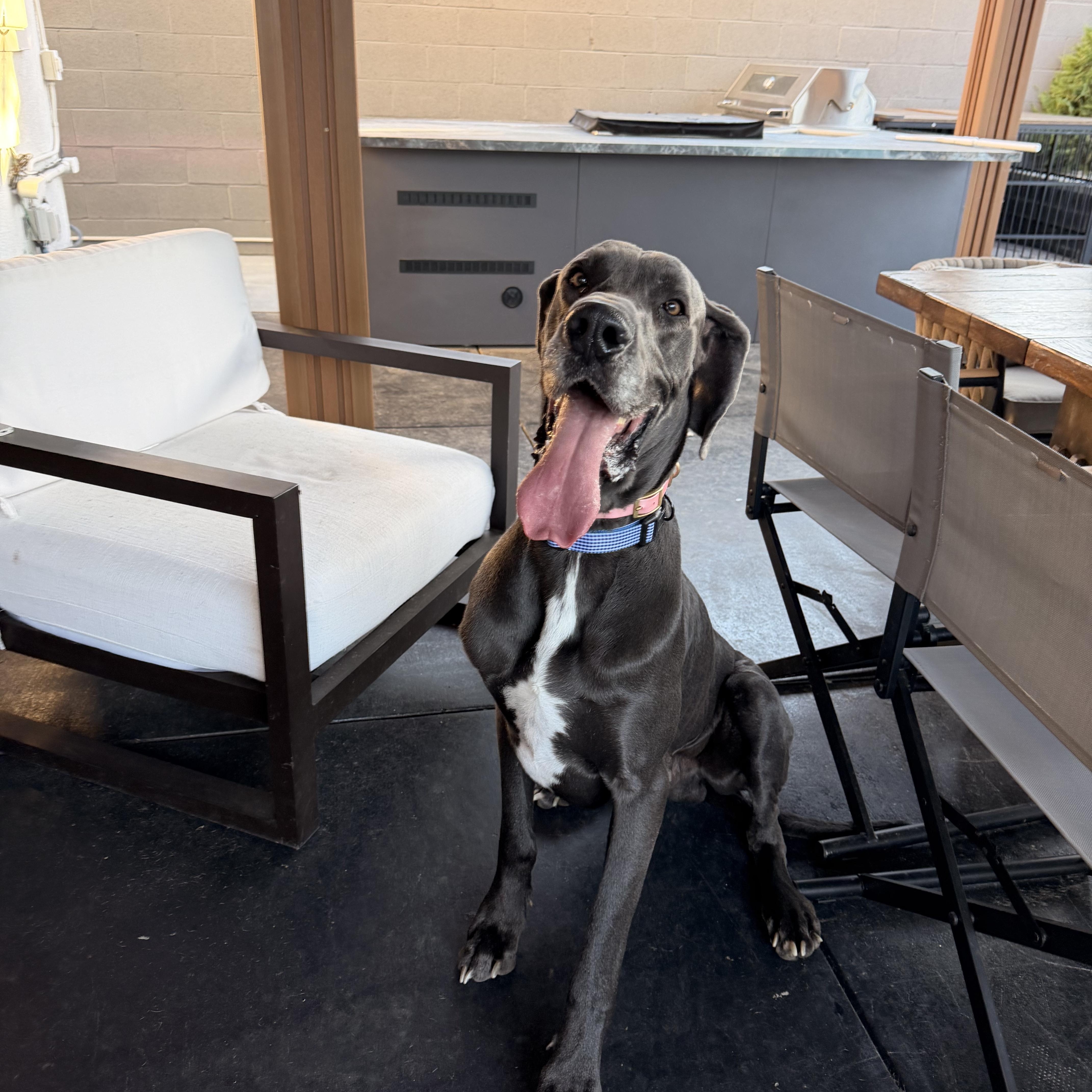 Benedict thumbnail 3