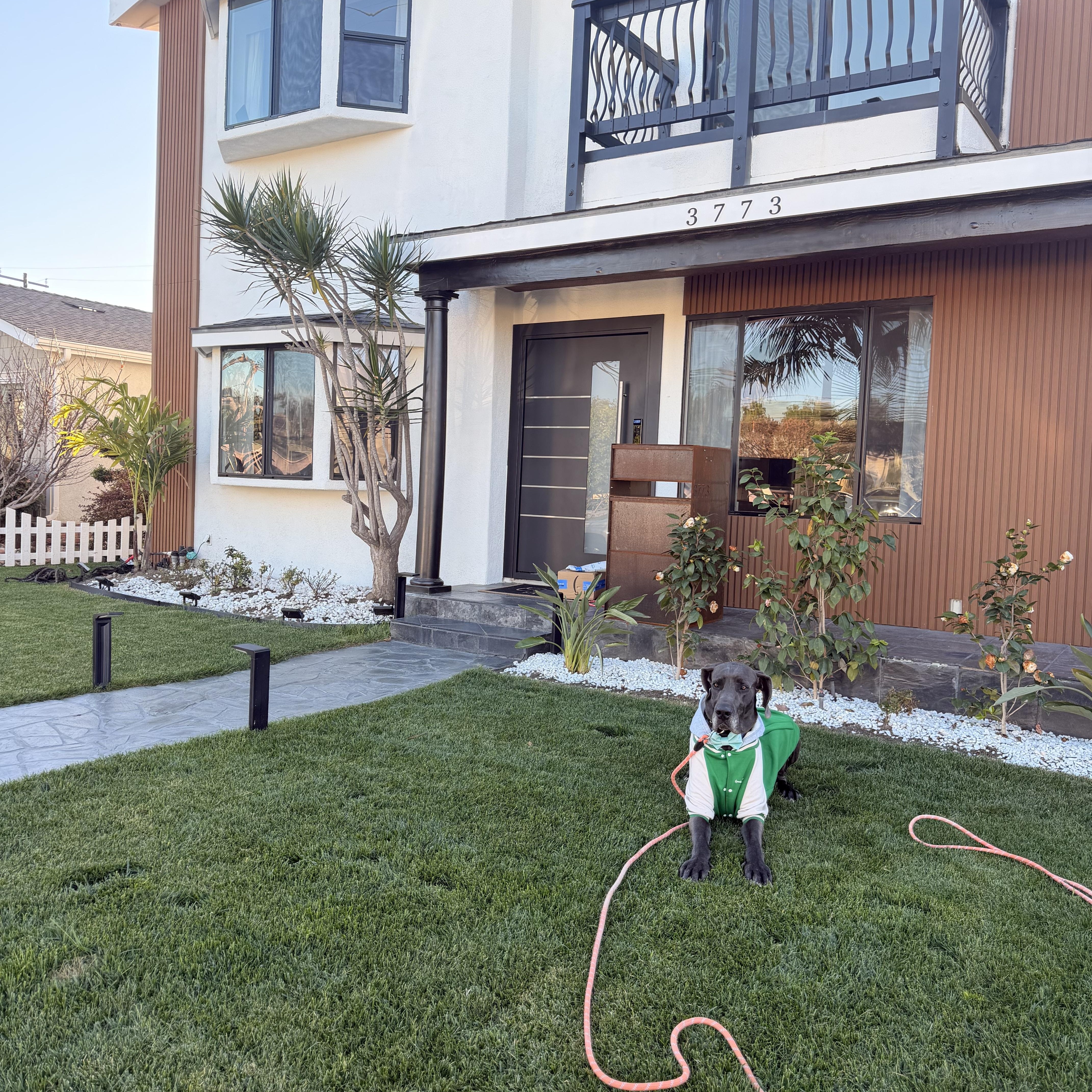 Benedict thumbnail 5