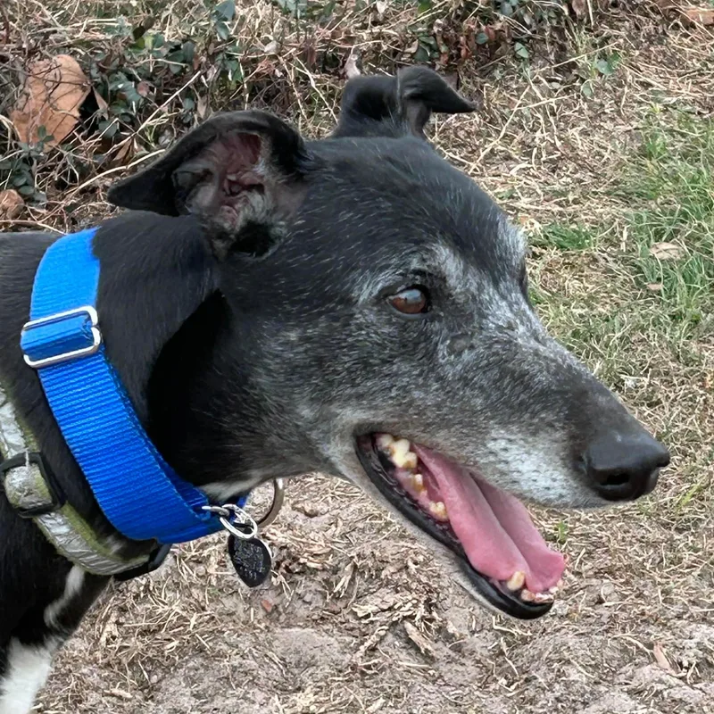 Eat My Diva thumbnail 2