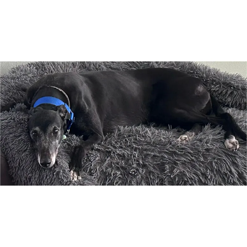 Eat My Diva thumbnail 3