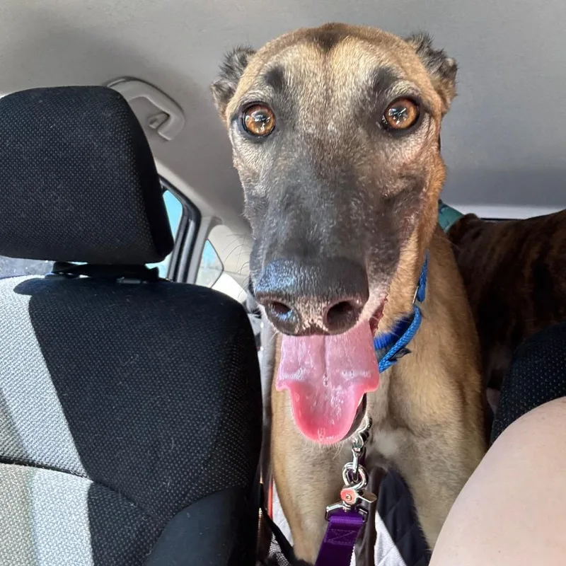 Imark Hades thumbnail 4