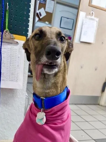 Imark Hades thumbnail 5