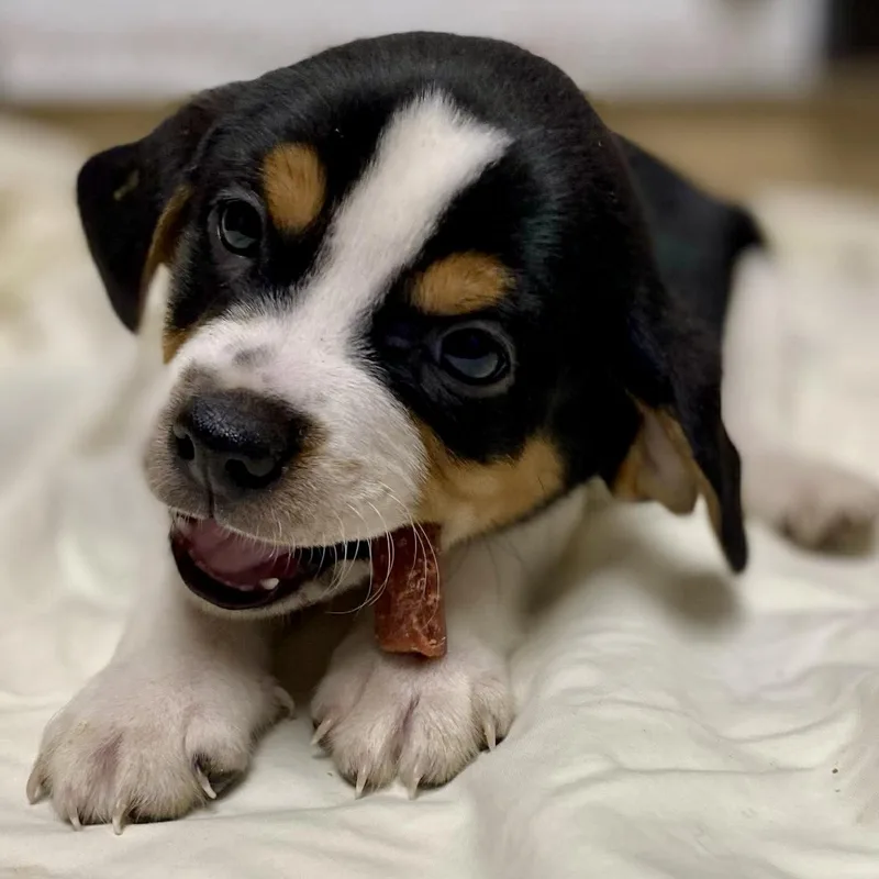 Keegan  Local thumbnail 2