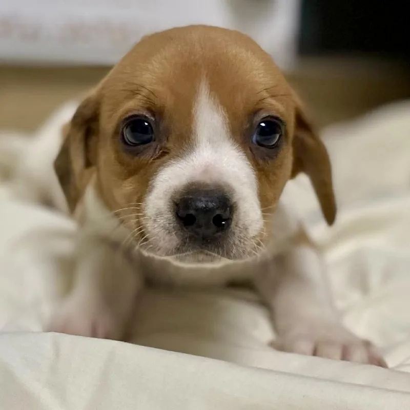 Liam  Local thumbnail 2