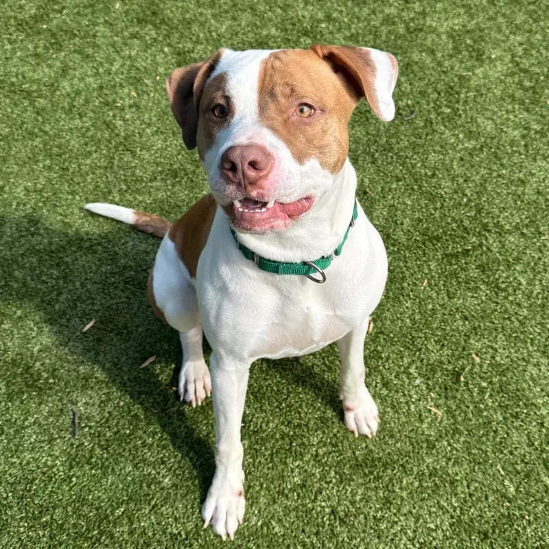 Plankton thumbnail 2