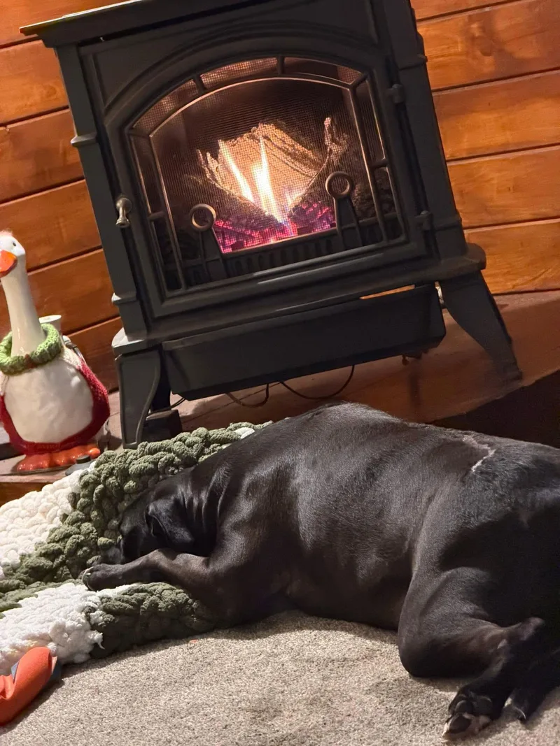 Moon Pie thumbnail 4