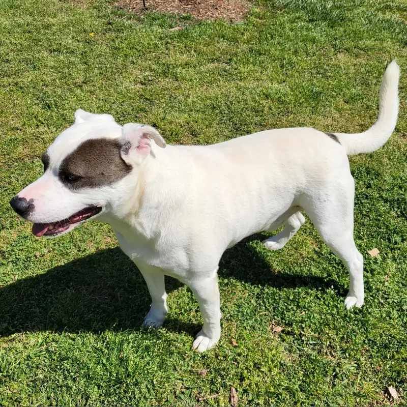 Rob  Petey thumbnail 2