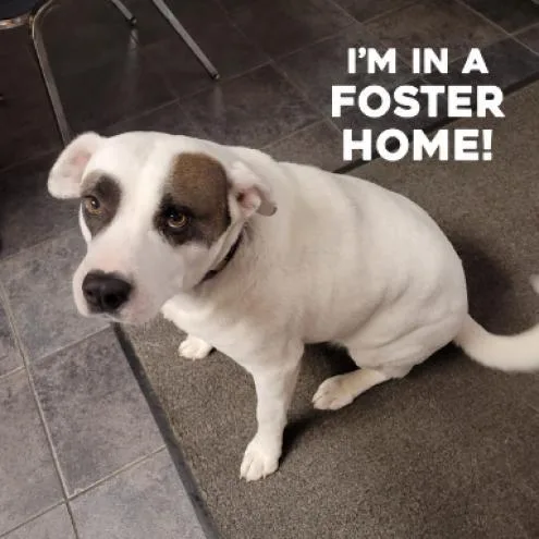 Rob  Petey thumbnail 3