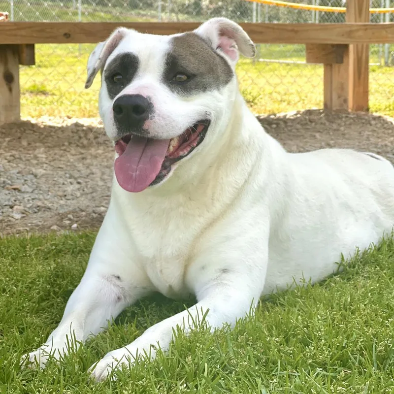 Rob  Petey thumbnail 6