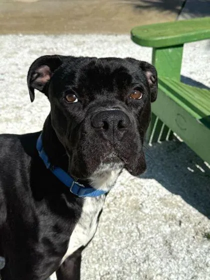 Krispy Kreme thumbnail 2