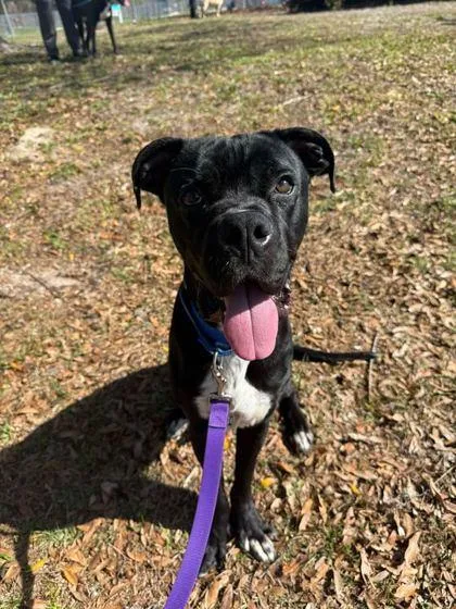 Krispy Kreme thumbnail 3