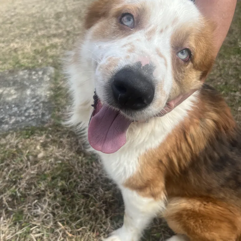 Charlotte thumbnail 2