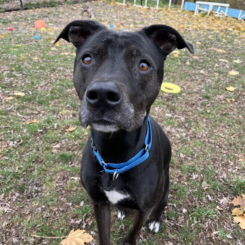 Little Foot thumbnail 2